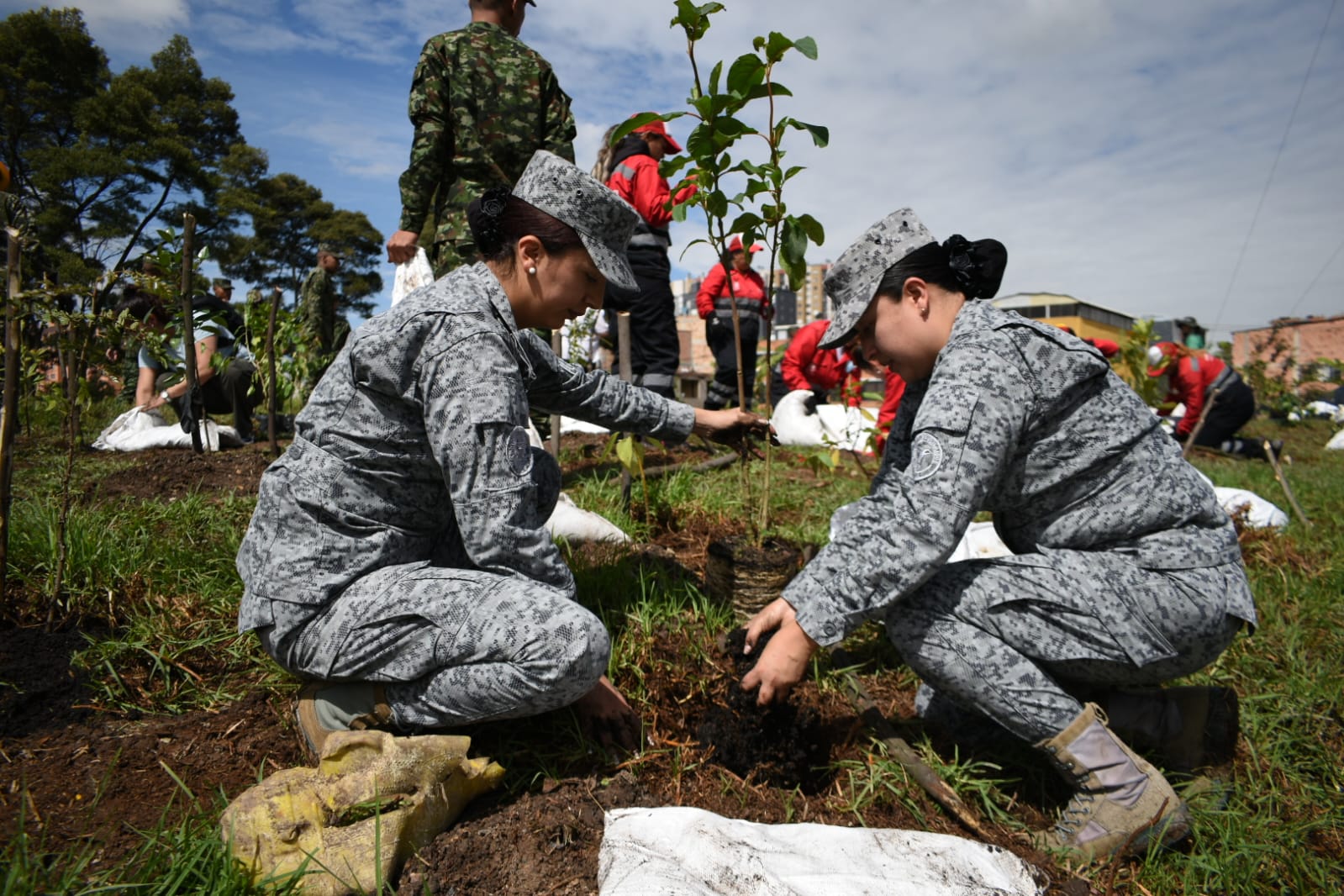 Día Mundial de los Humedales: jornada de recuperación ecológica en Bogotá