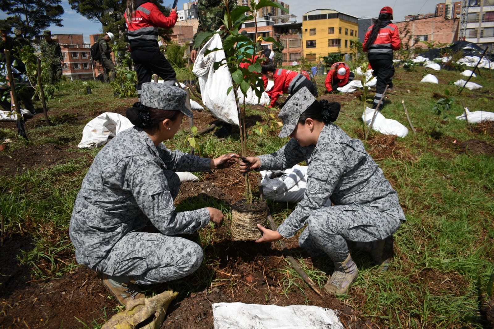 Día Mundial de los Humedales: jornada de recuperación ecológica en Bogotá