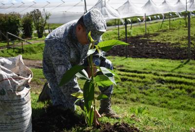 Conservación del medioambiente: Un compromiso de todos