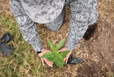 Acciones de restauración ambiental fueron fortalecidas con jornada de siembra