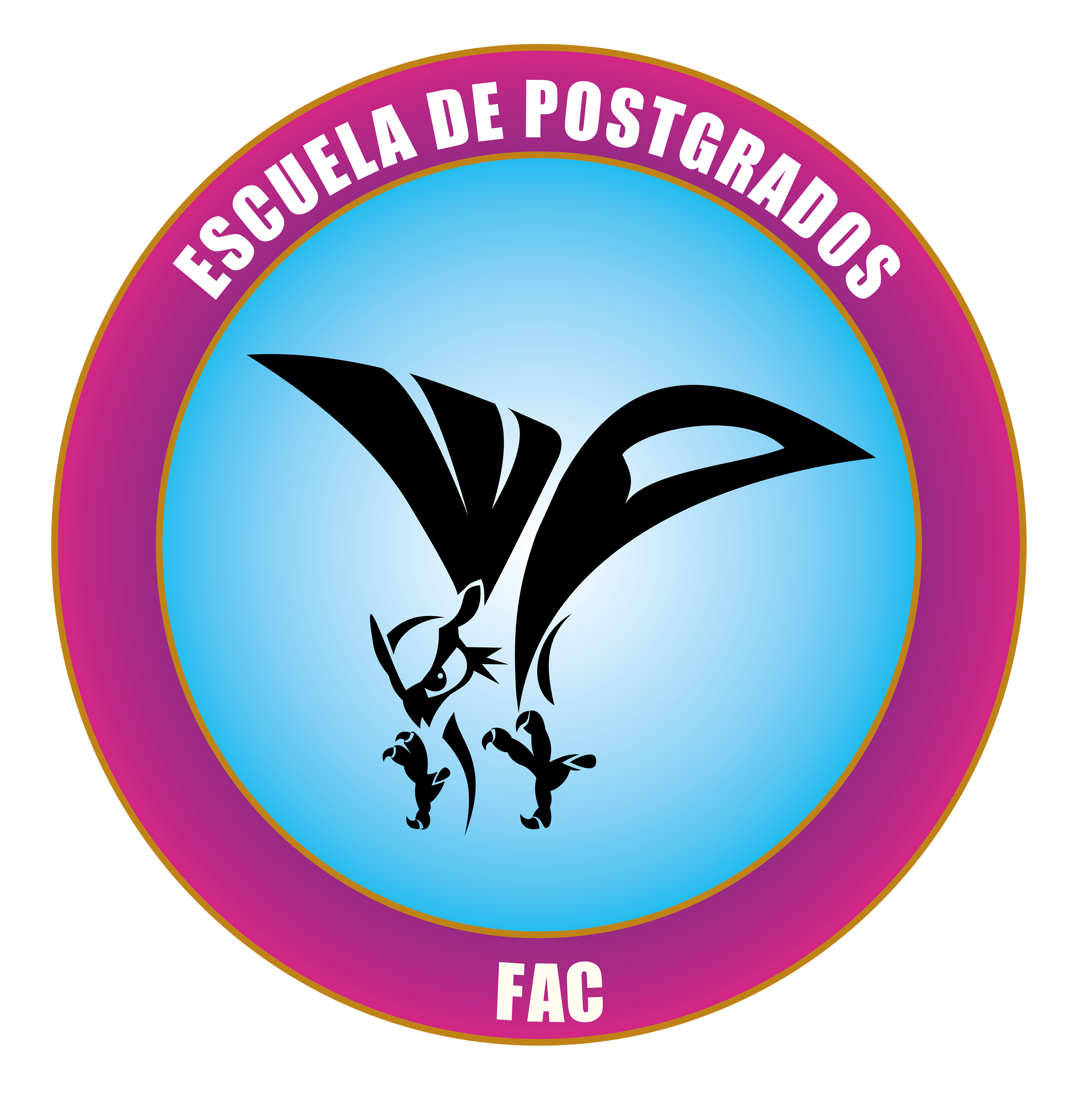 Video EPFAC
