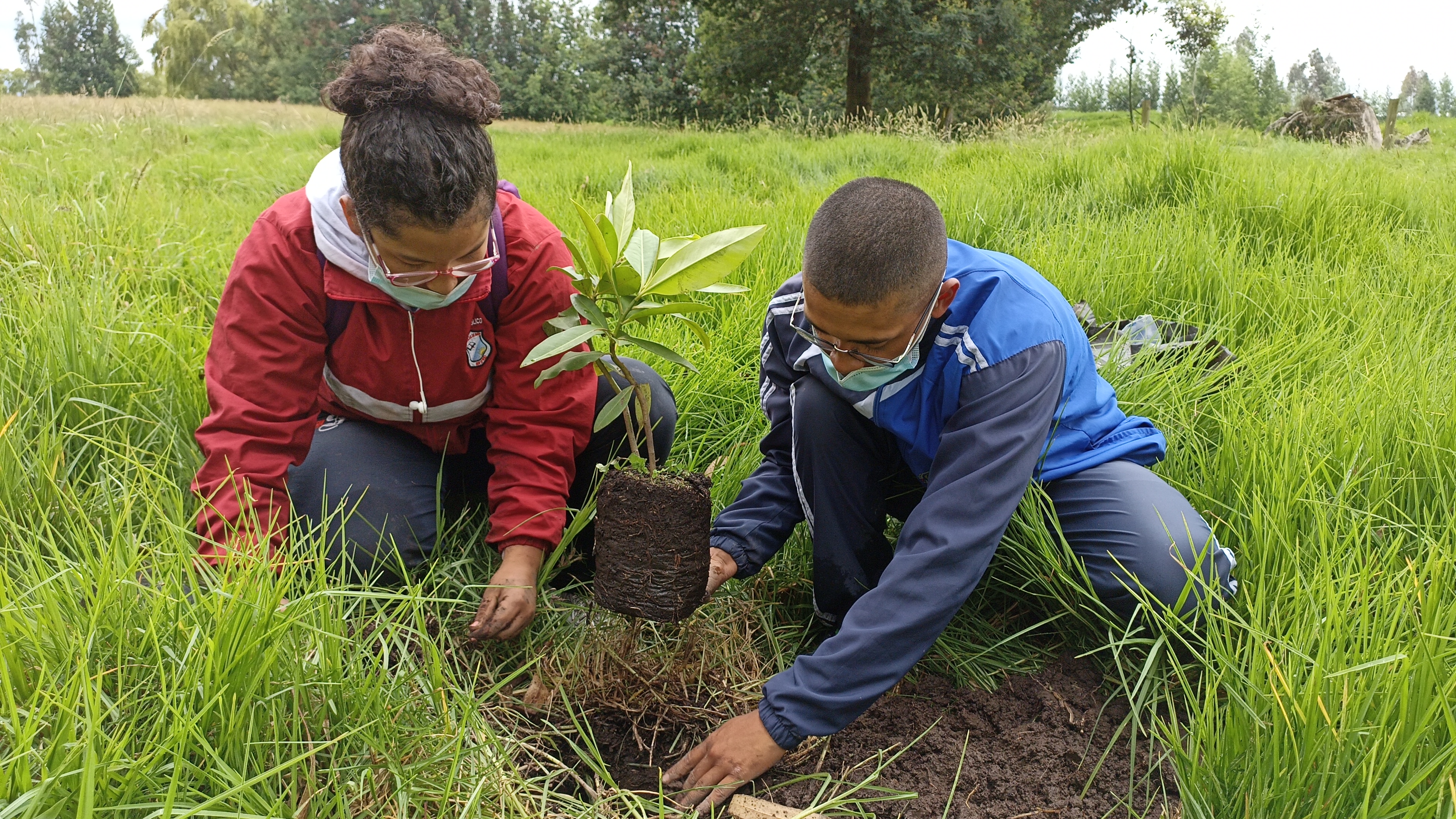 Alumnos de la ESUFA participan en sembratón por el Día Mundial del Árbol