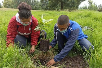 Alumnos de la ESUFA participan en sembratón por el Día Mundial del Árbol